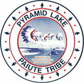 Pyramid Lake Paiute Tribe Higher Education